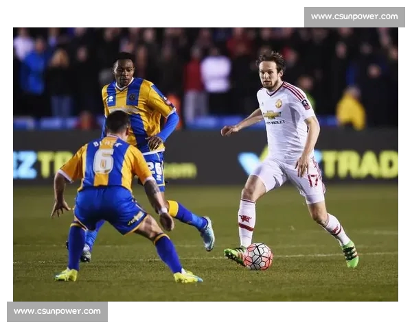 高清足球赛事直播APP下载指南畅享全球赛场精彩即时比分数据分析权威解说 - 副本 - 副本 - 副本 (17) - 副本